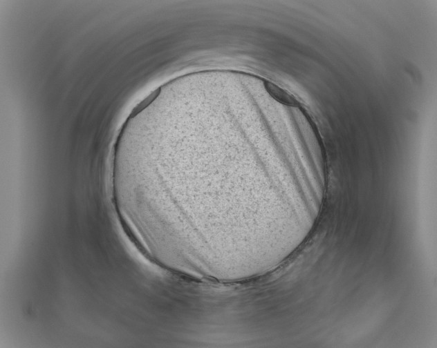 X0000110941528200907171558