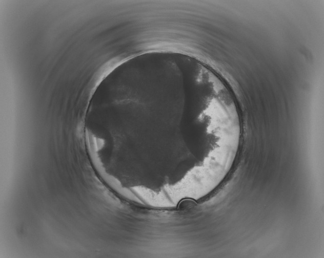 X0000110941529200907171558