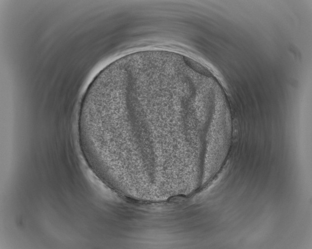 X0000110941530200907171558