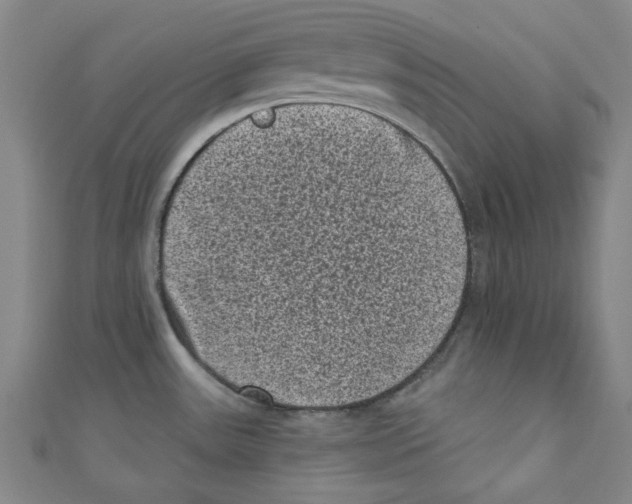 X0000110941531200907171558