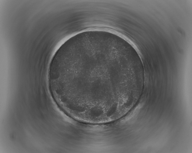 X0000110941533200907171558