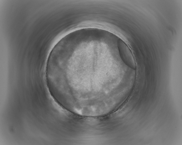X0000110941536200907171558