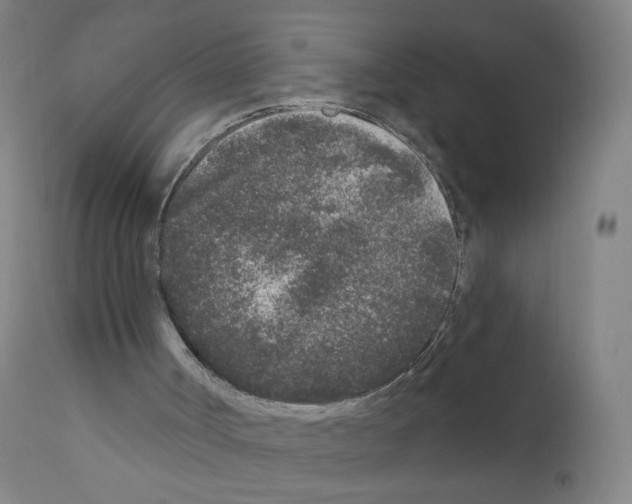 X0000110940002200907311028