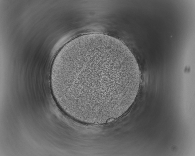 X0000110940004200907311028