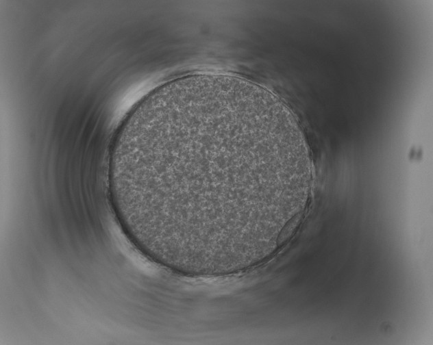 X0000110940005200907311028