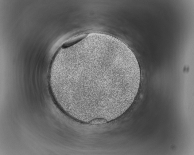X0000110940007200907311028