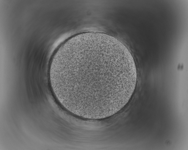 X0000110940008200907311028