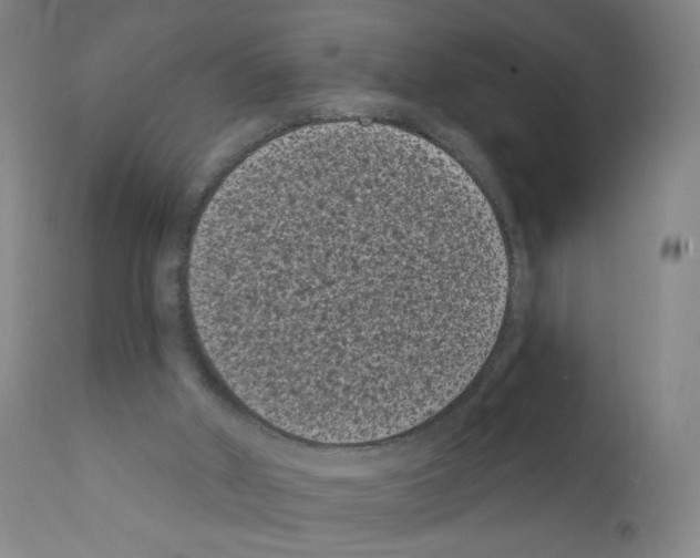X0000110940010200907311028