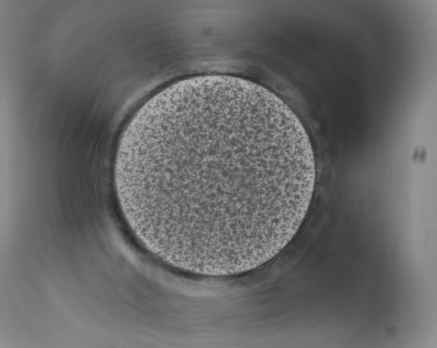 X0000110940012200907311028