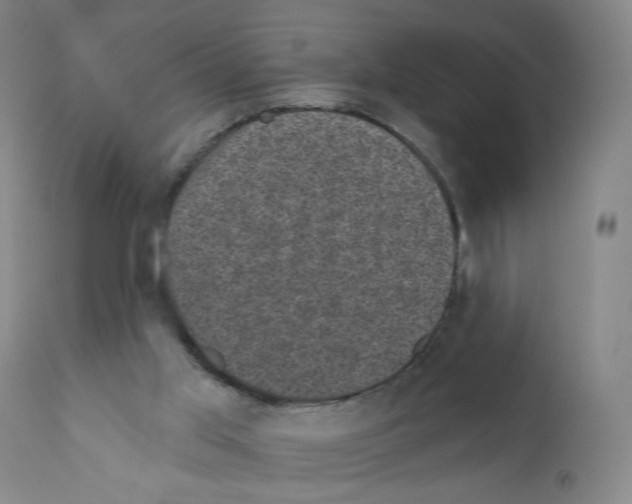 X0000110940013200907311028