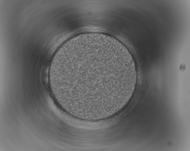 X0000110940014200907311028