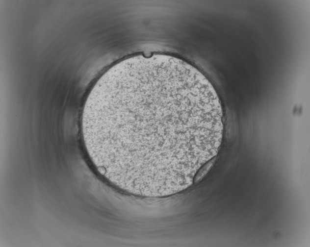 X0000110940015200907311028