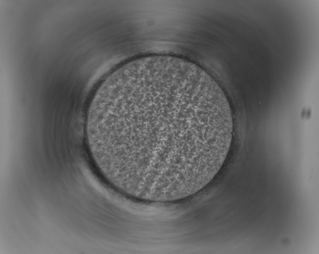 X0000110940016200907311028