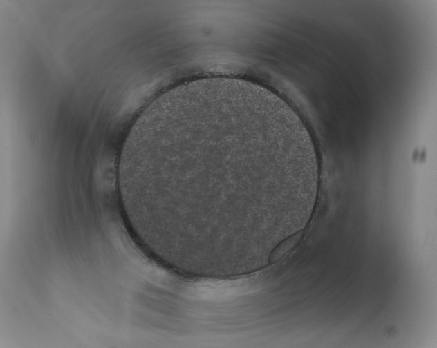 X0000110940017200907311027