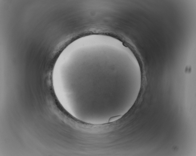 X0000110940019200907311027