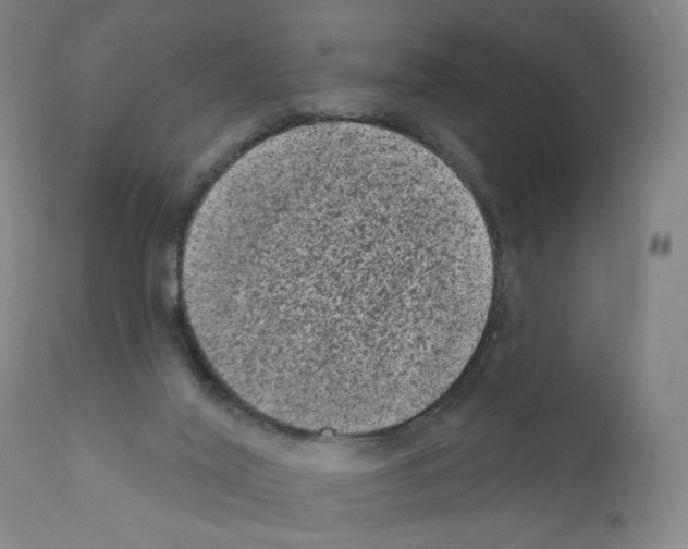 X0000110940020200907311027