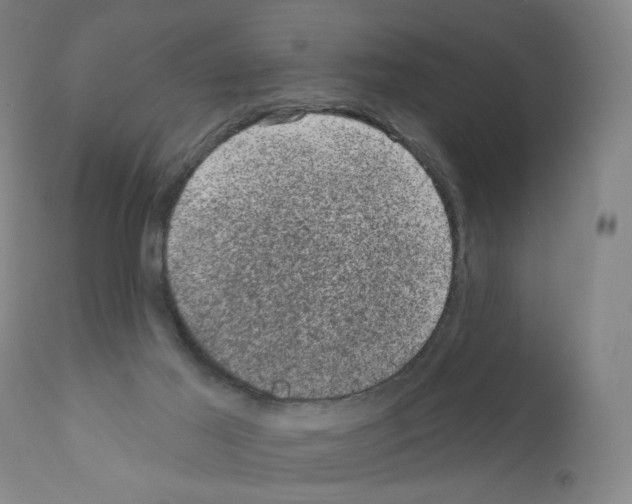 X0000110940021200907311027