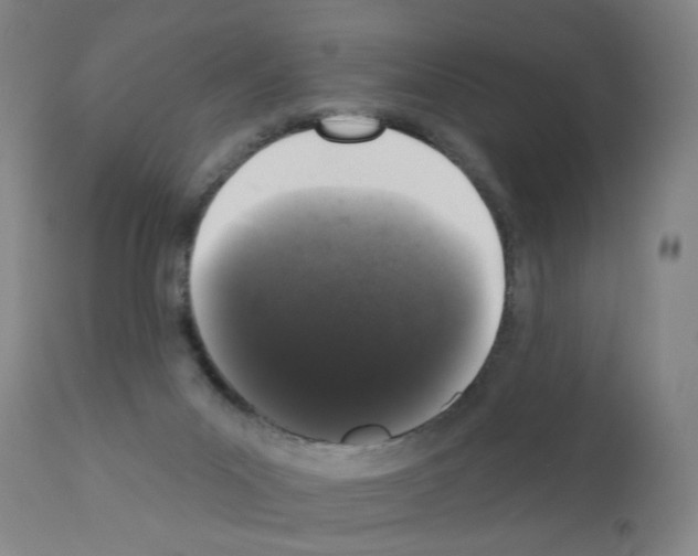 X0000110940023200907311027