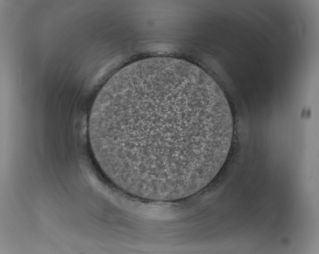 X0000110940024200907311027