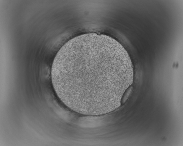 X0000110940025200907311027
