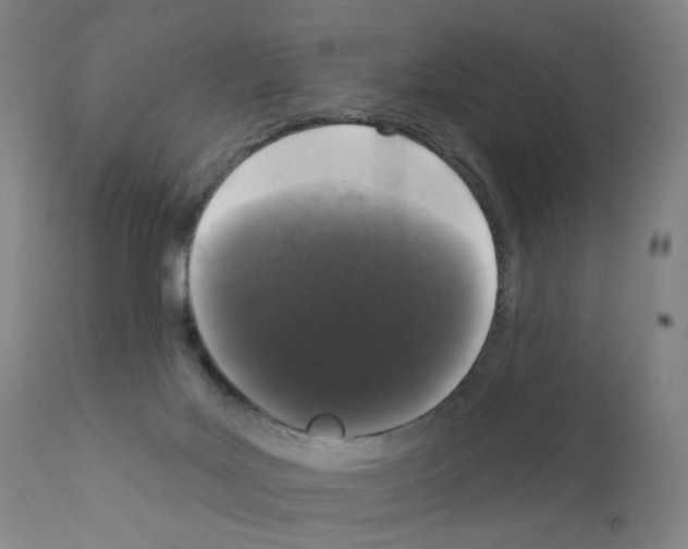 X0000110940027200907311027