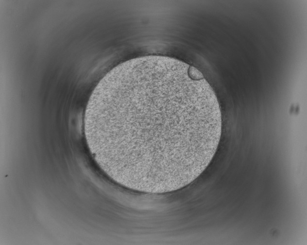 X0000110940028200907311027