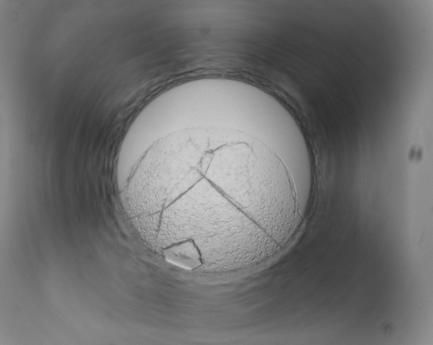 X0000110940029200907311027