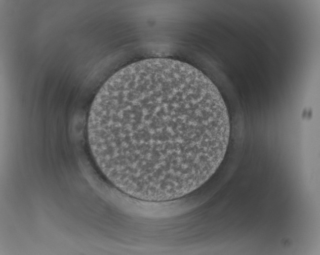 X0000110940030200907311027