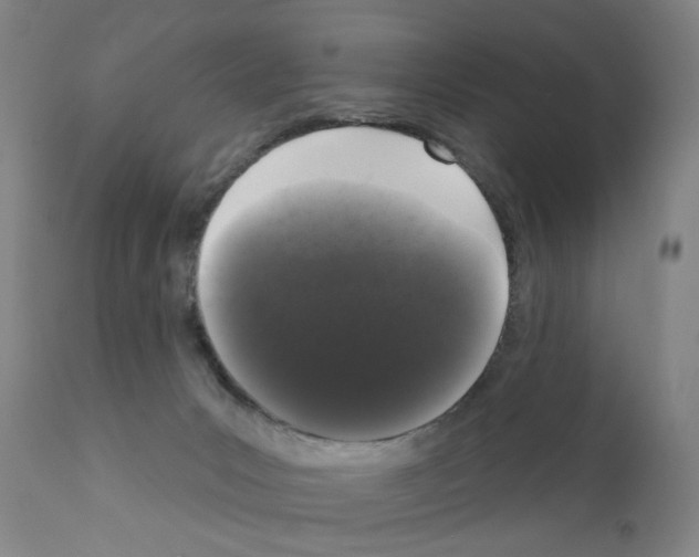 X0000110940031200907311027