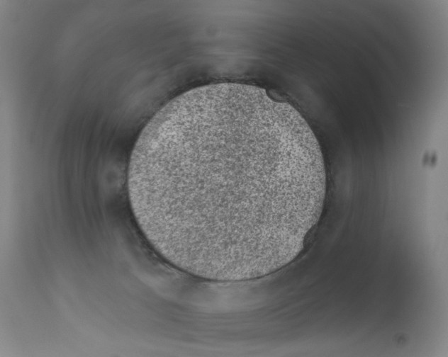 X0000110940033200907311027