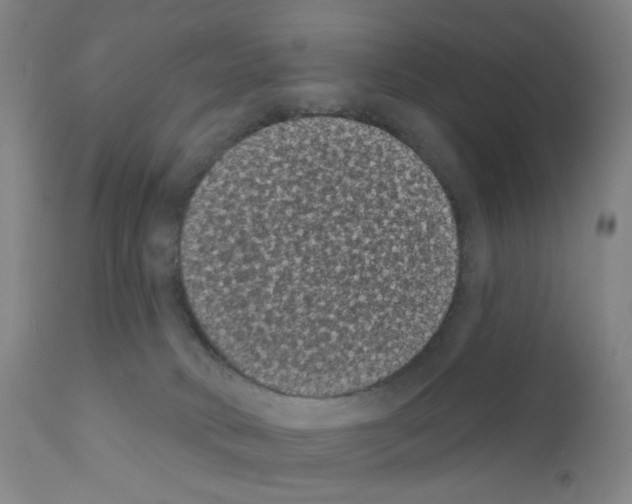 X0000110940034200907311027