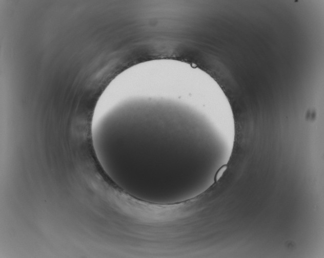 X0000110940035200907311027