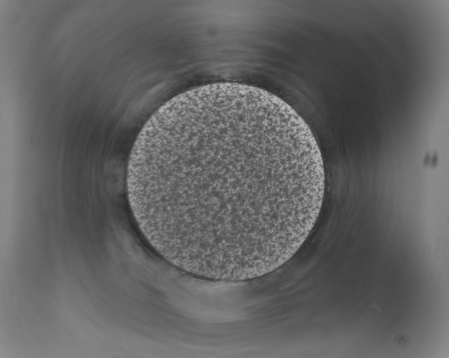 X0000110940036200907311027