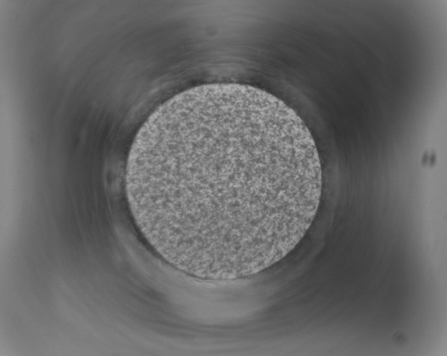 X0000110940038200907311027
