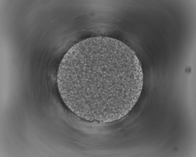 X0000110940040200907311027