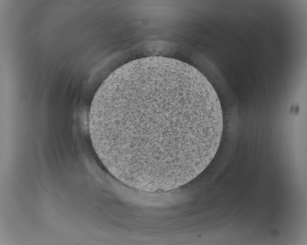 X0000110940042200907311027