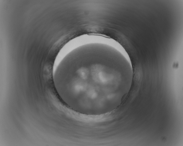X0000110940043200907311027