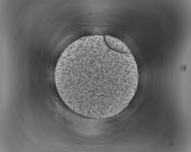 X0000110940044200907311027