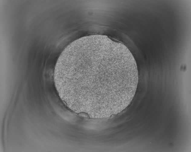 X0000110940045200907311027