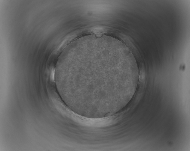 X0000110940046200907311027