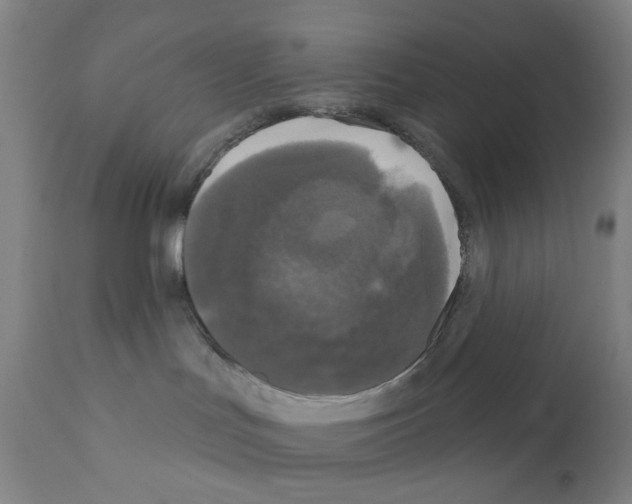 X0000110940047200907311027