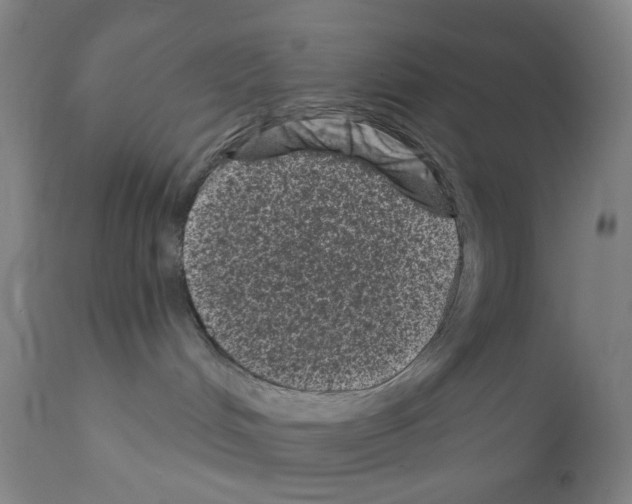 X0000110940048200907311027