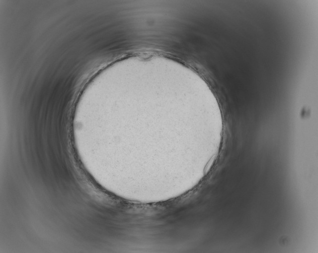 X0000110940049200907311026