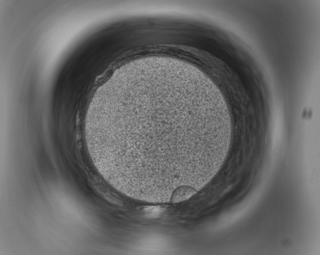 X0000110940050200907311026