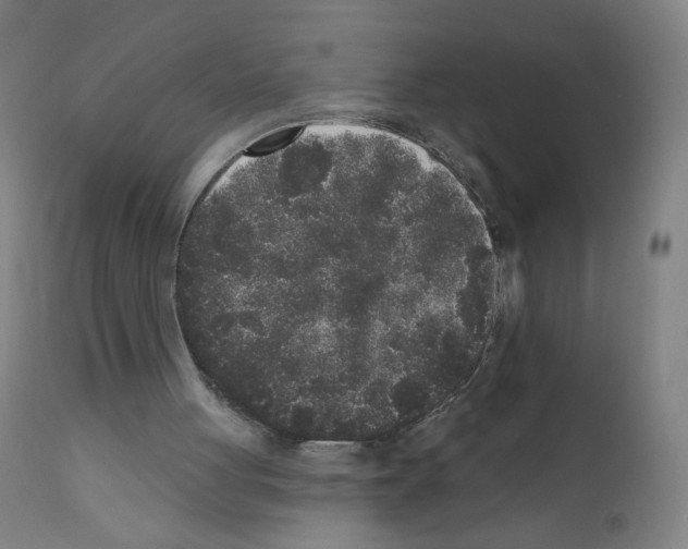 X0000110940051200907311026