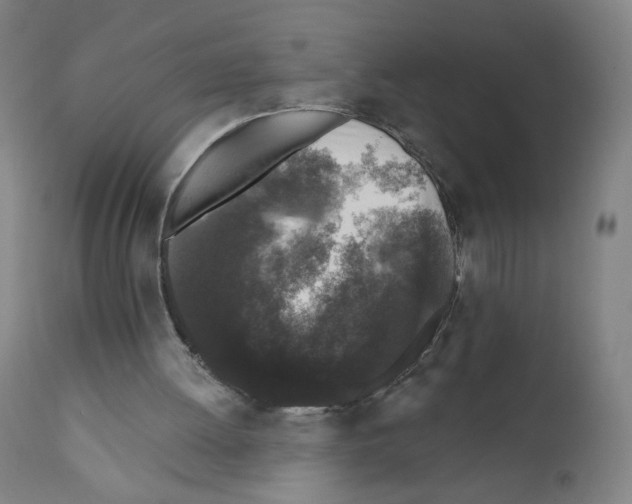 X0000110940052200907311026