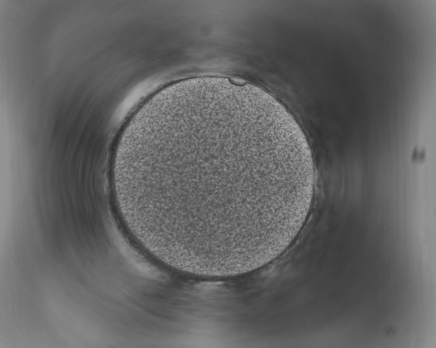 X0000110940054200907311026