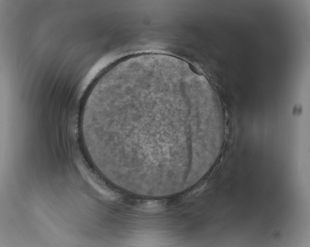X0000110940056200907311026