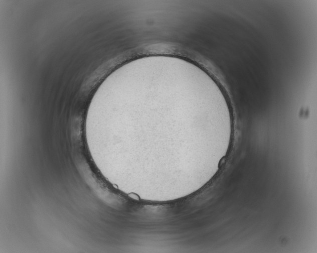 X0000110940057200907311026