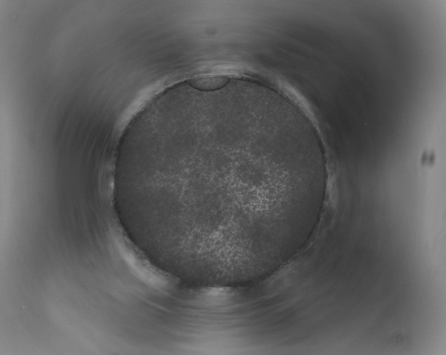 X0000110940059200907311026